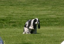 IMG_2004.jpg