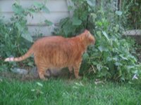 IMG_3535.jpg