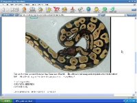 ScreenShot002.jpg