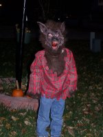 Picture 001.jpg