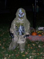 Picture 002.jpg