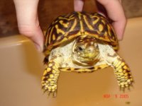 Picture 015.jpg