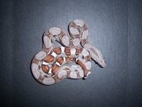 100_1893.JPG