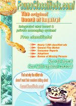 flyer_small03.jpg