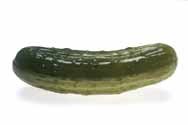 VegPickle.jpg