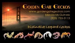 Copy of GGGex BusinessCard3.jpg