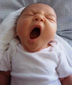 ! kiddie yawn.jpg