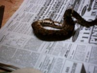 Picture 122.jpg