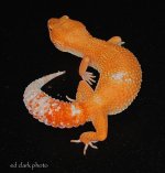 ! 4-28 Sunglow. 015_edited-1.jpg