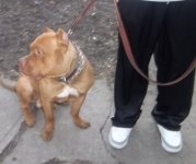 100_1128.jpg