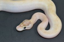 DSC_0316.jpg