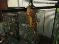 IMG_0538.jpg