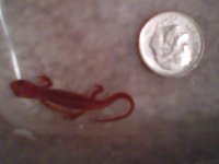 IMG-20110923-00355.jpg