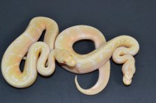 DSC_0362.jpg