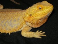 IMG_2677[1].jpg