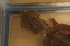 DSC02572.JPG