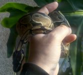 2011-10-24_17-11-28_307.jpg