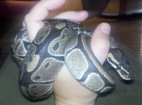 2011-10-24_17-17-53_251.jpg