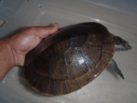 PB110008.jpg