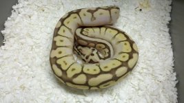 2011-11-08_08-25-50_682.jpg