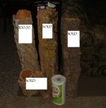 5-5-11 007.jpg