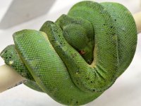GTP_Jan2012#2.jpg