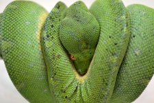 GTP_Jan2012#3.jpg