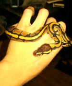 upload.jpg