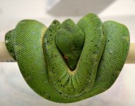GTP_Jan2012#1.jpg