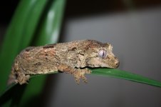 IMG_9630.jpg