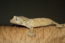 IMG_9634.jpg