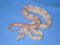 holdbacks and new adds 012.jpg