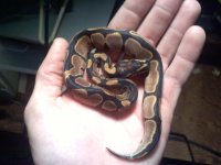 20111128213503.jpg