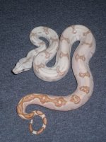 holdbacks and new adds 019.jpg