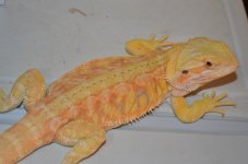 DSC_3925.jpg