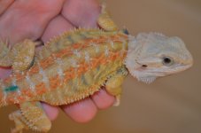 DSC_3700.jpg