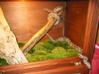 IMG_3596.jpg
