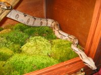 IMG_3595.jpg
