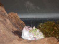 DSCN0386.jpg