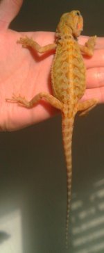 IMAG0775.jpg