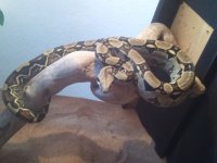 2011-11-20 10.32.36.jpg