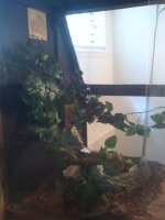 2011-11-20 10.30.27.jpg