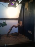 2011-11-20 10.30.58.jpg