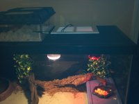 2011-11-20_21-18-05_608.jpg