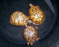 000_2726.jpg