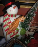 DSC05847.jpg