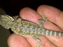 IMG-20110924-00405.jpg