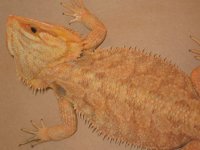 IMG_0185.JPG