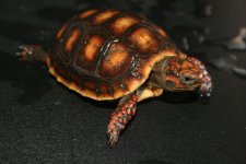 IMG_3899.JPG