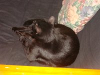 DSC04216.JPG